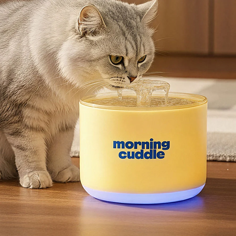 모닝커들 고양이